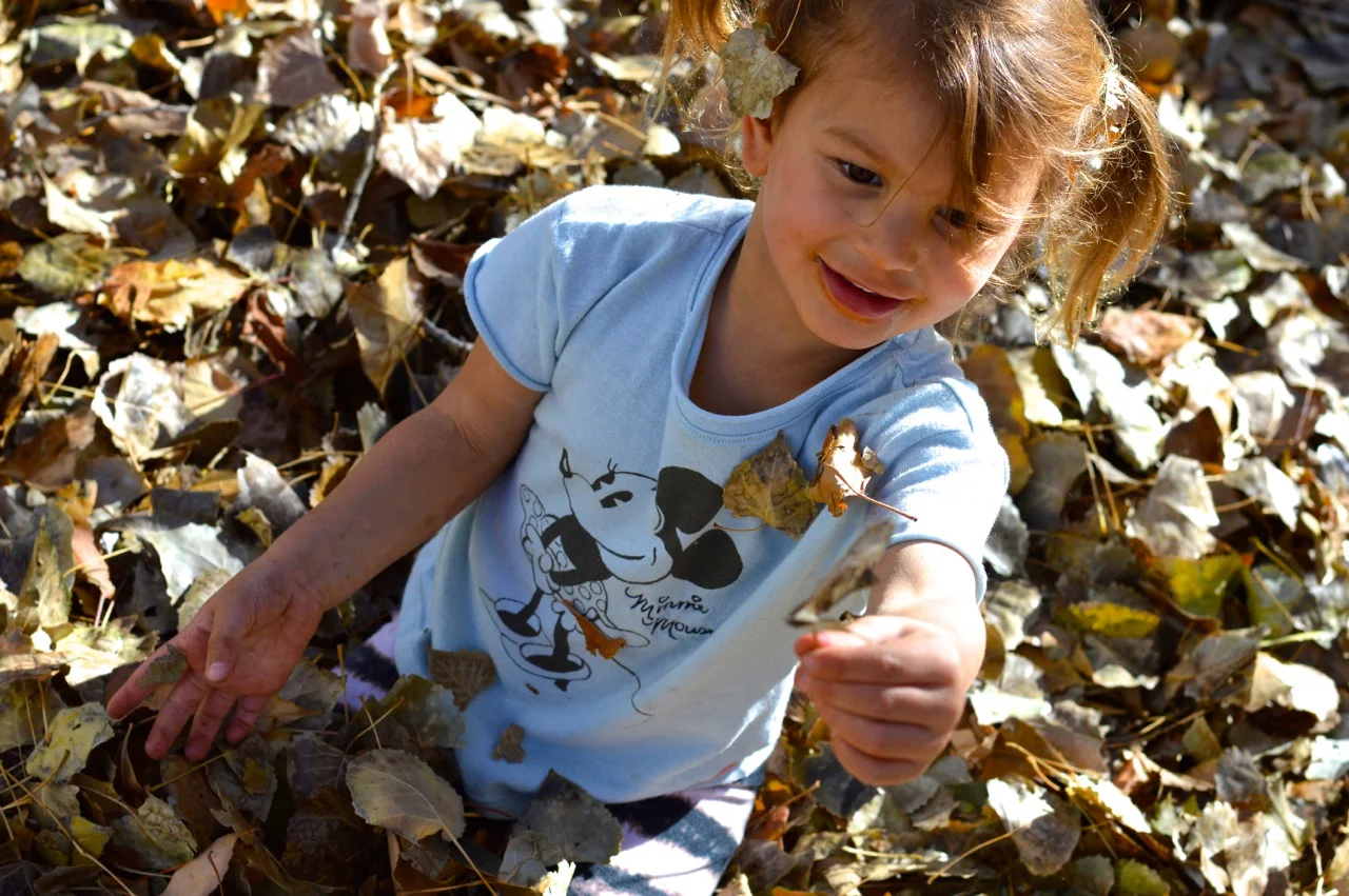 Jumping in leaves 2018 12.jpg