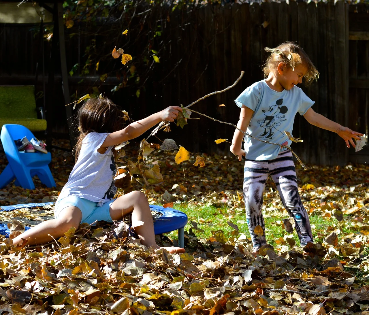 Jumping in Leaves 2018 13.jpg