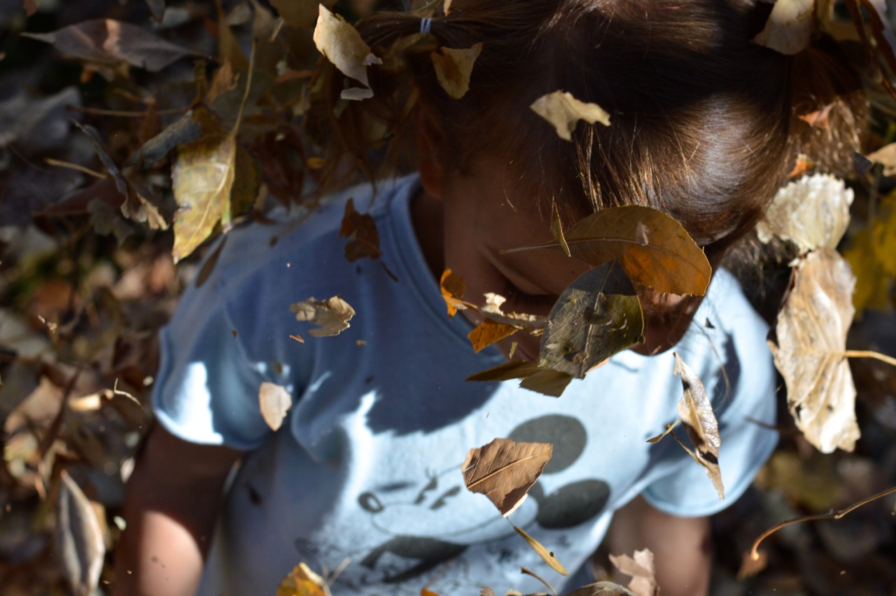 Jumping in Leaves 2018 14.jpg