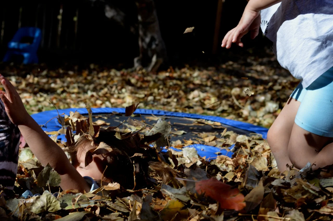 Jumping in Leaves 2018 21.jpg