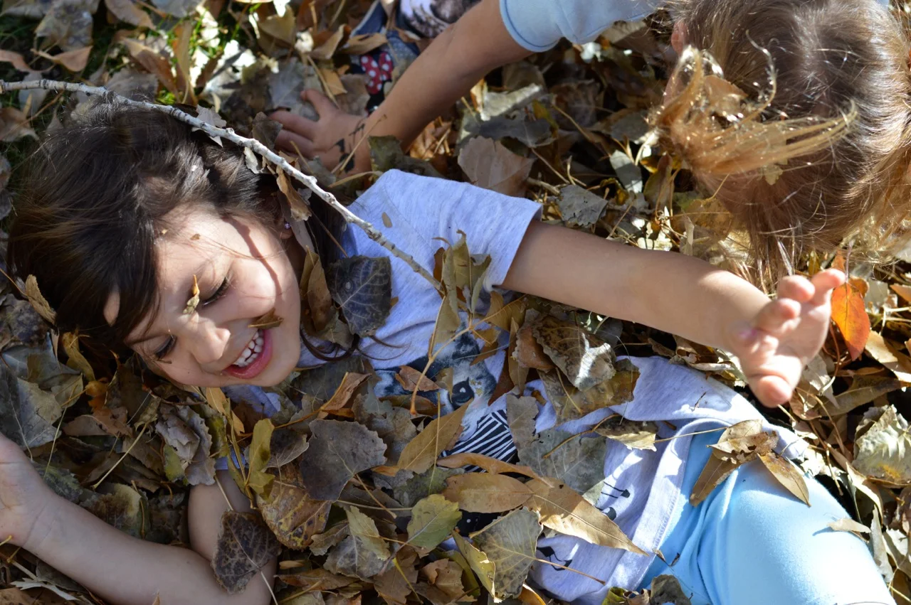 Jumping in Leaves 2018 22.jpg