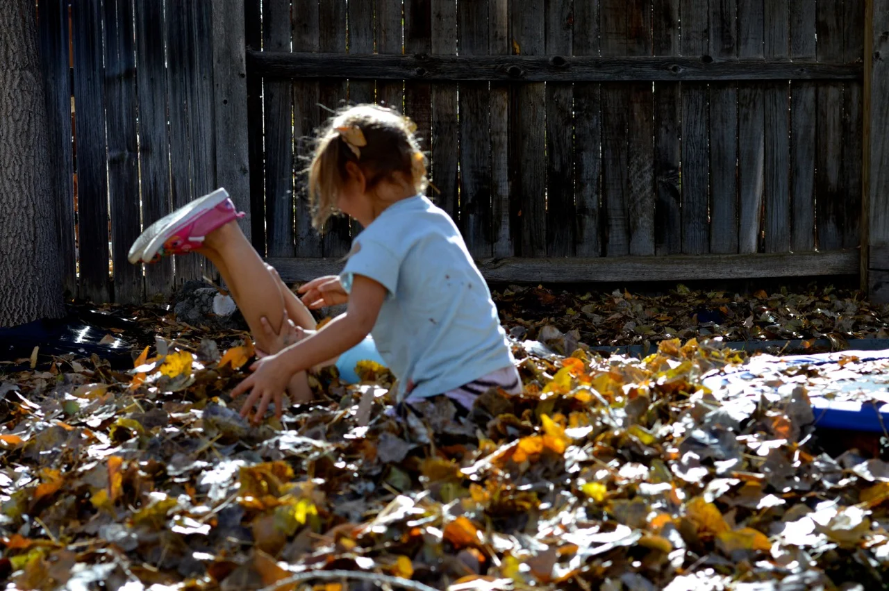 Jumping in Leaves 2018 23.jpg