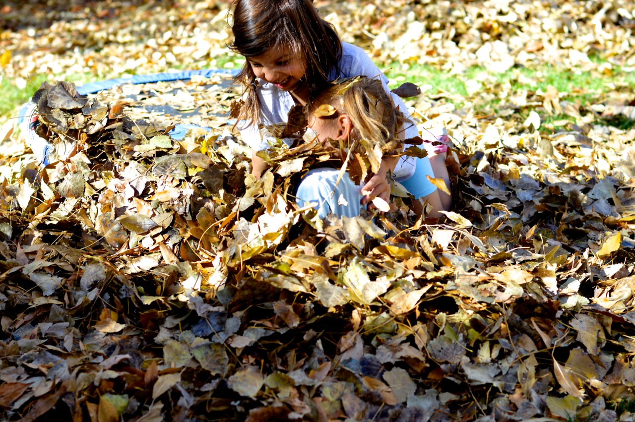 Jumping in Leaves 2018 25.jpg
