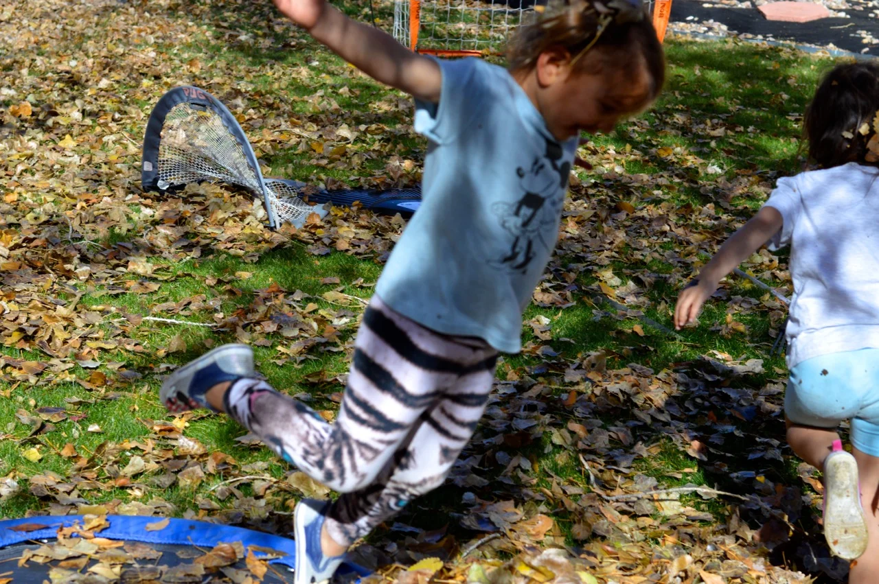 Jumping in Leaves 2018 26.jpg