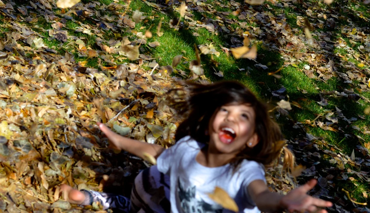 Jumping in Leaves 2018 27.jpg