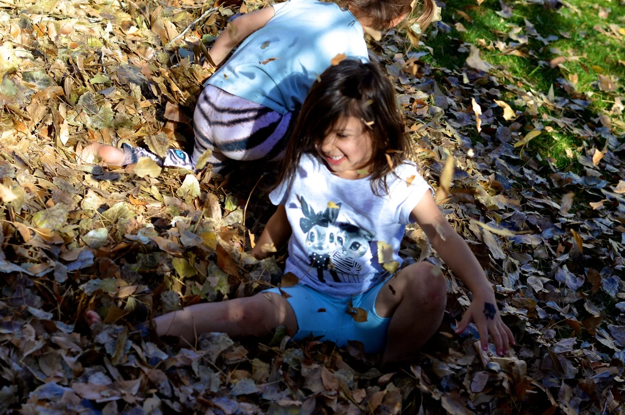 Jumping in Leaves 2018 28.jpg