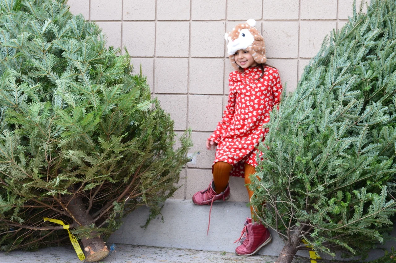 Christmas Tree Picking 2018 2.jpg
