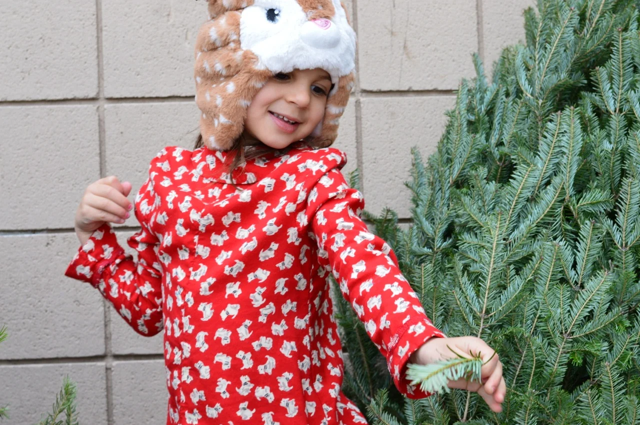 Christmas Tree Picking 2018 4.jpg