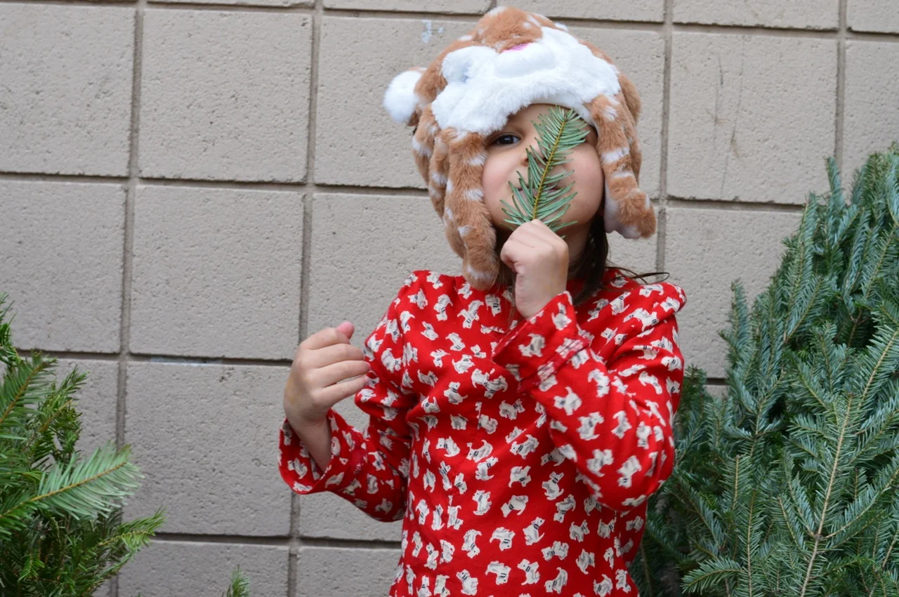 Christmas Tree Picking 2018 5.jpg