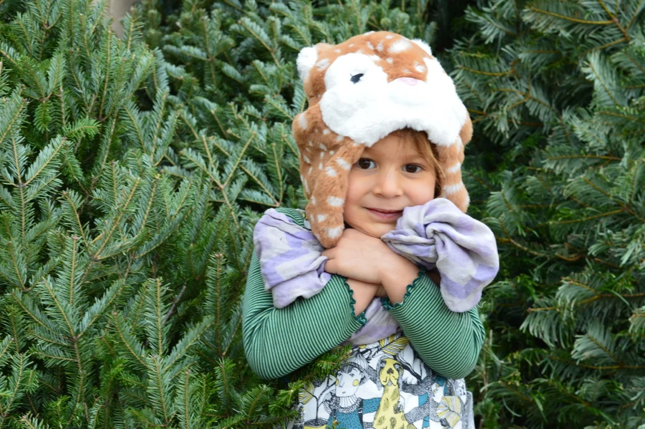 Christmas Tree Picking 2018 9.jpg