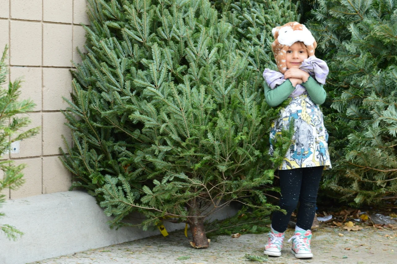 Christmas Tree Picking 2018 10.jpg