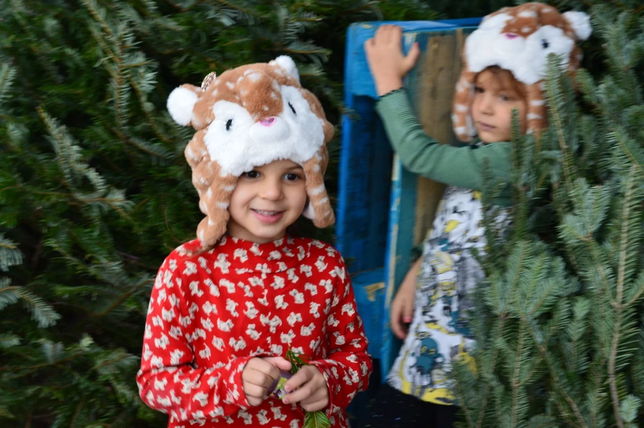 Christmas Tree Picking 2018 17.jpg