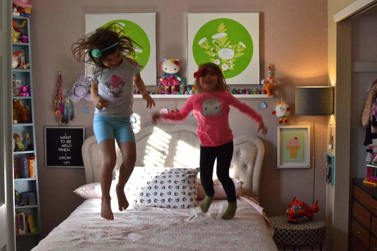 Toddler Girl Bedroom 28.jpg