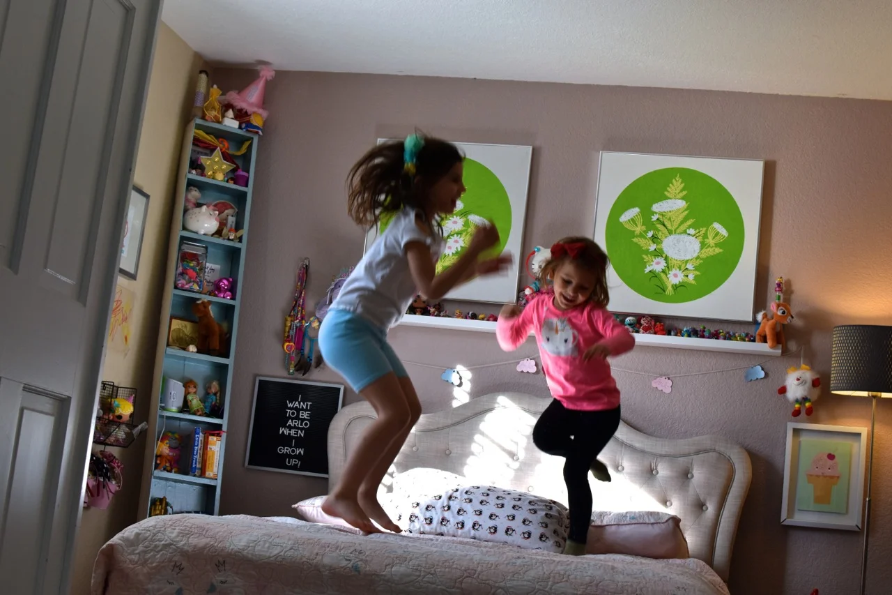 Toddler Girl Bedroom 29.jpg