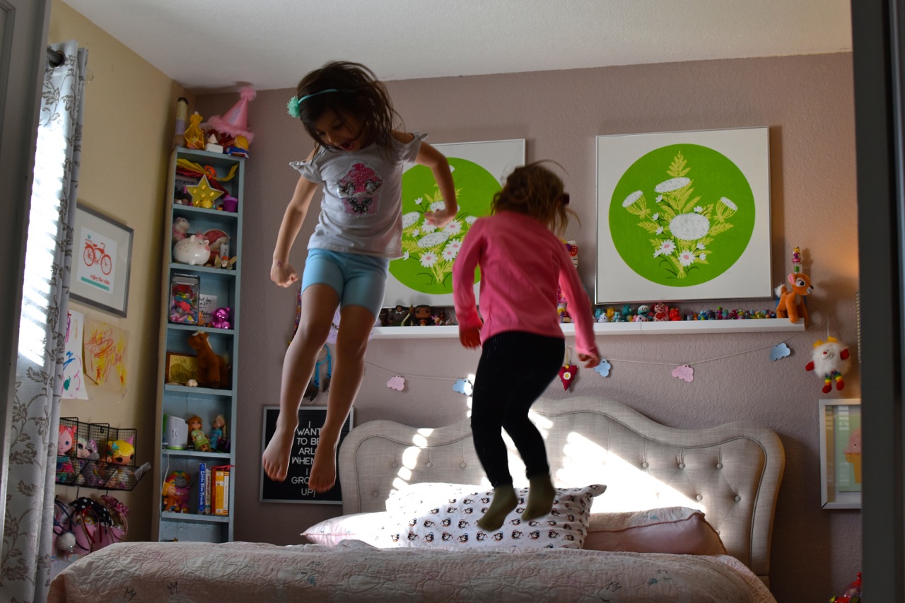 Toddler Girl Bedroom 30.jpg
