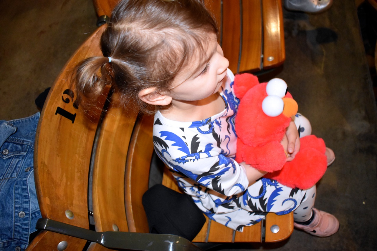 Sesame Street Live Denver 10.jpg