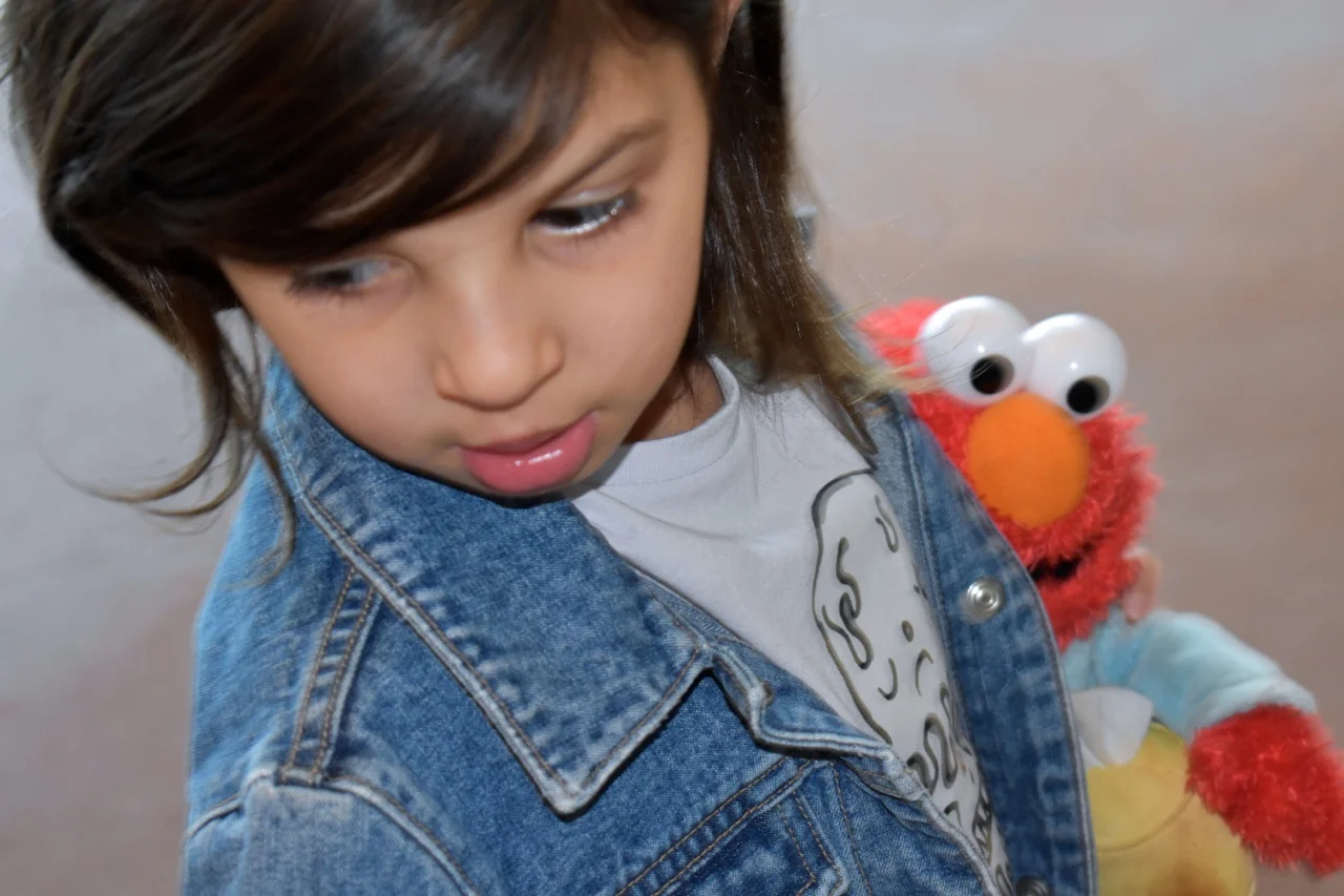 Sesame Street Live Denver 24.jpg