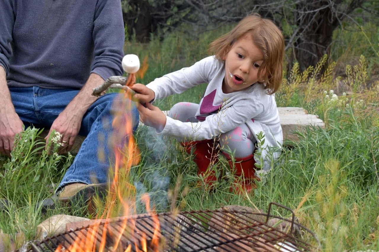 Smores 2019 3.3.jpg