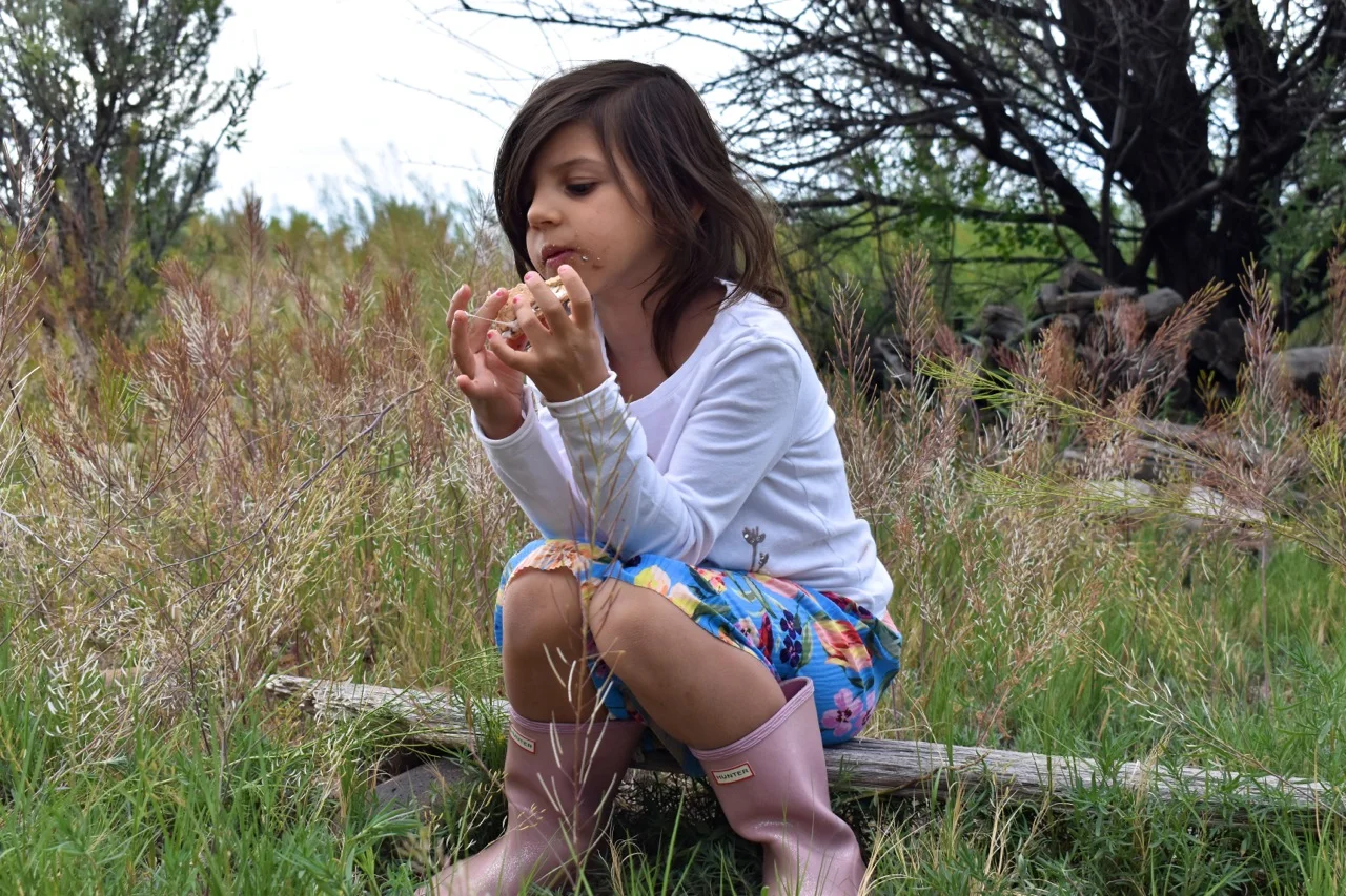 Smores 2019 6.6.jpg