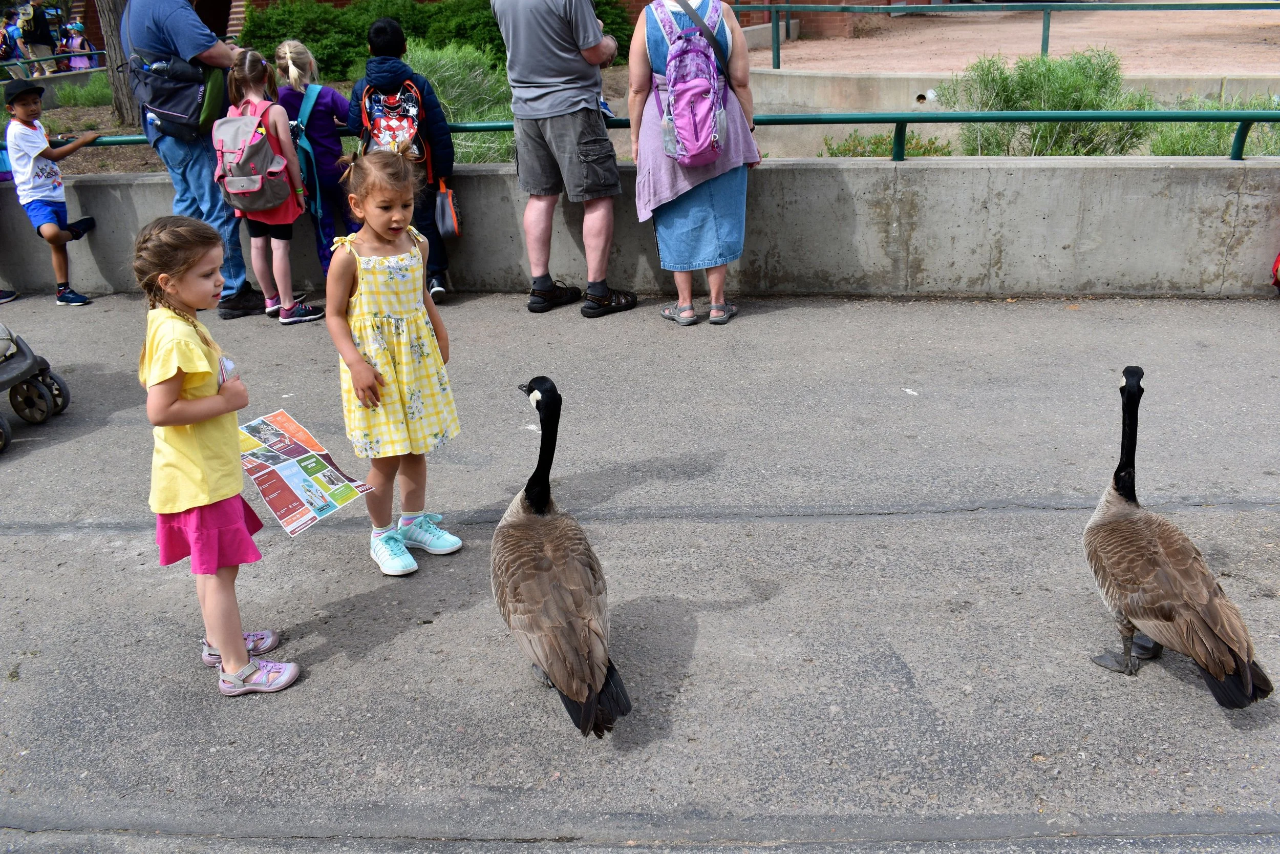 Denver Zoo day 6.jpg