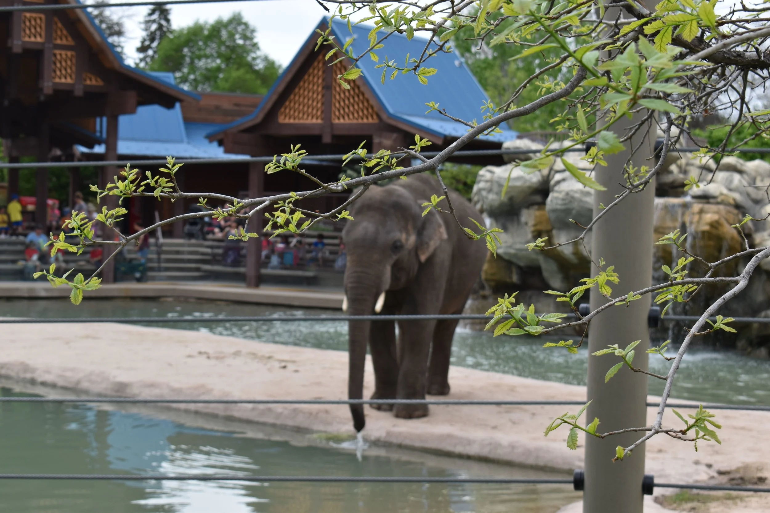 Denver Zoo day 10.jpg