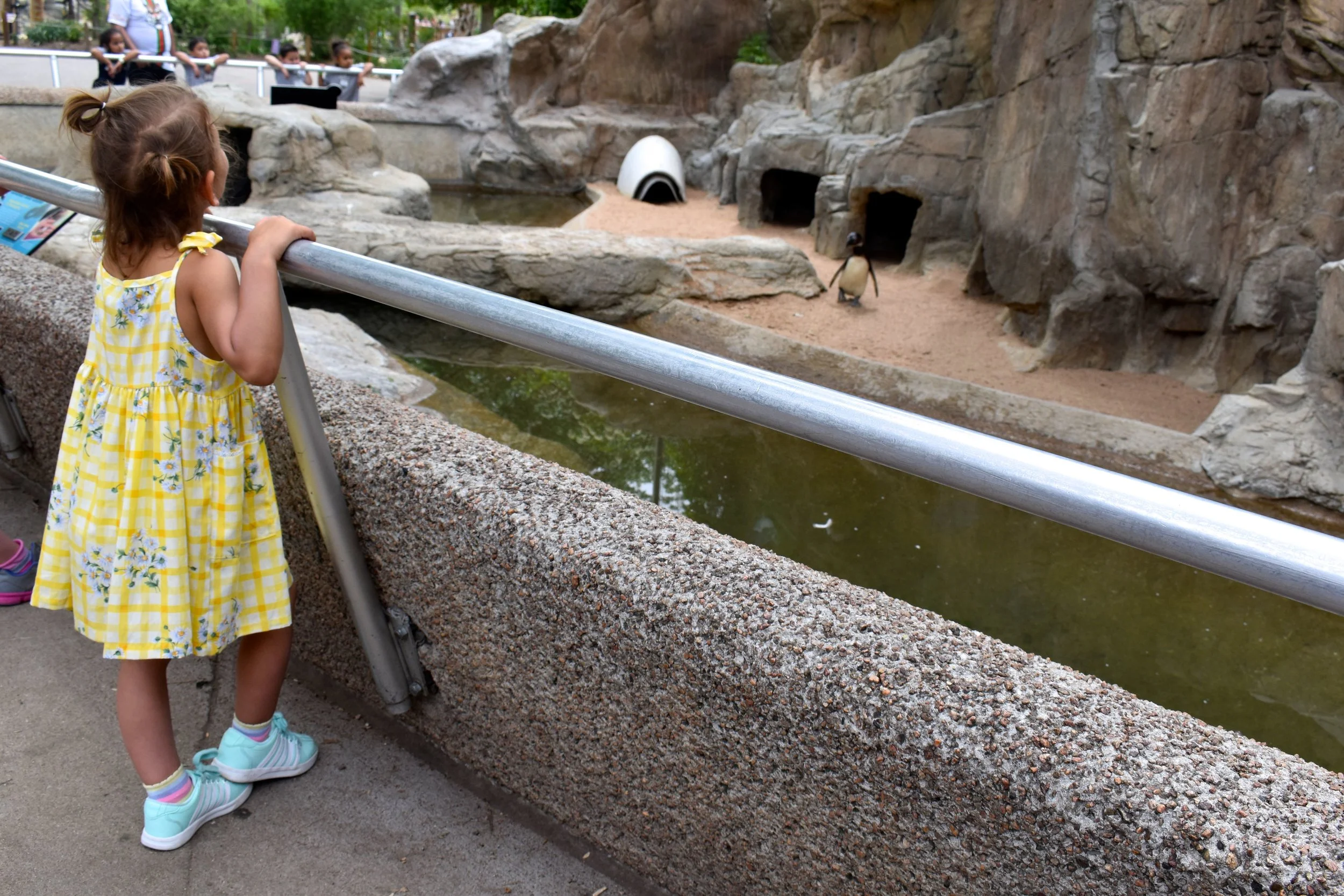 Denver Zoo day 18.jpg
