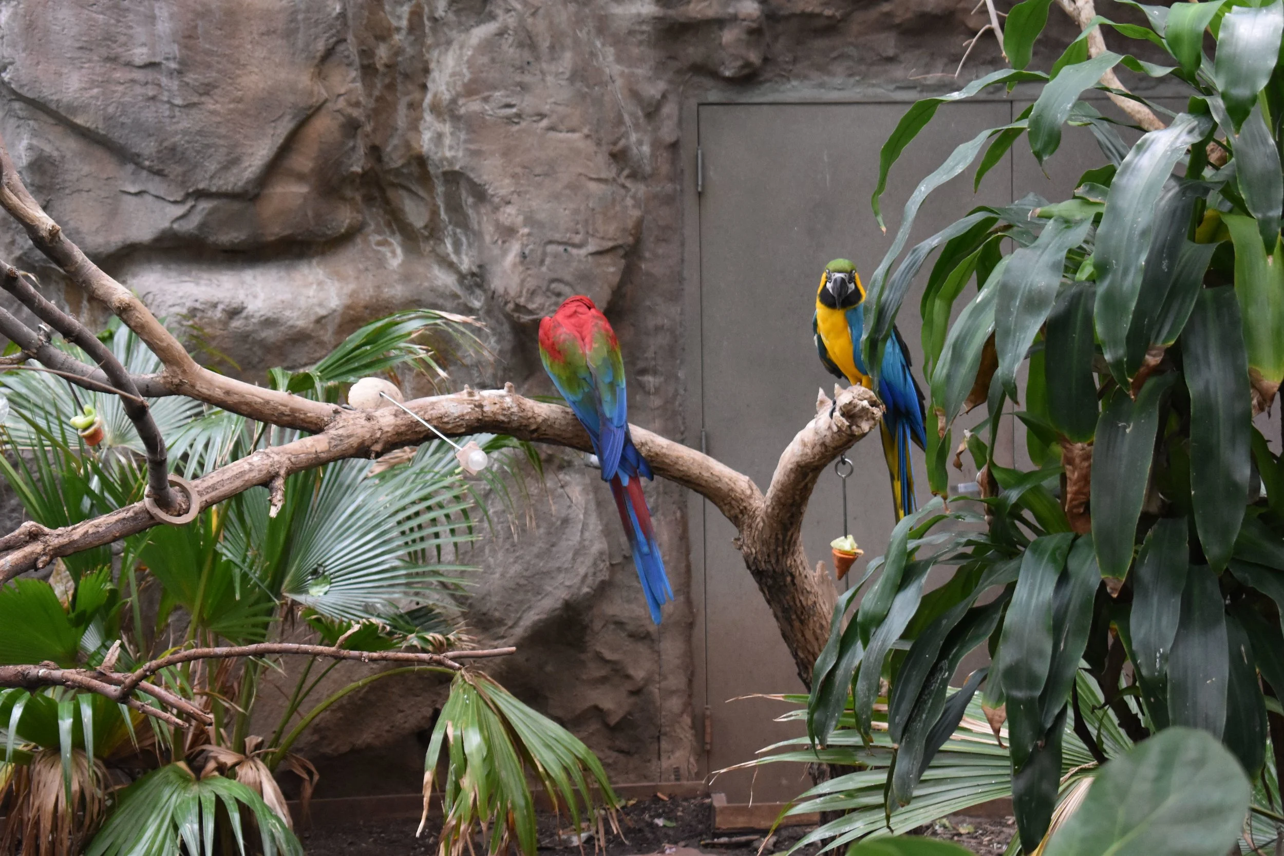 Denver Zoo day 20.jpg