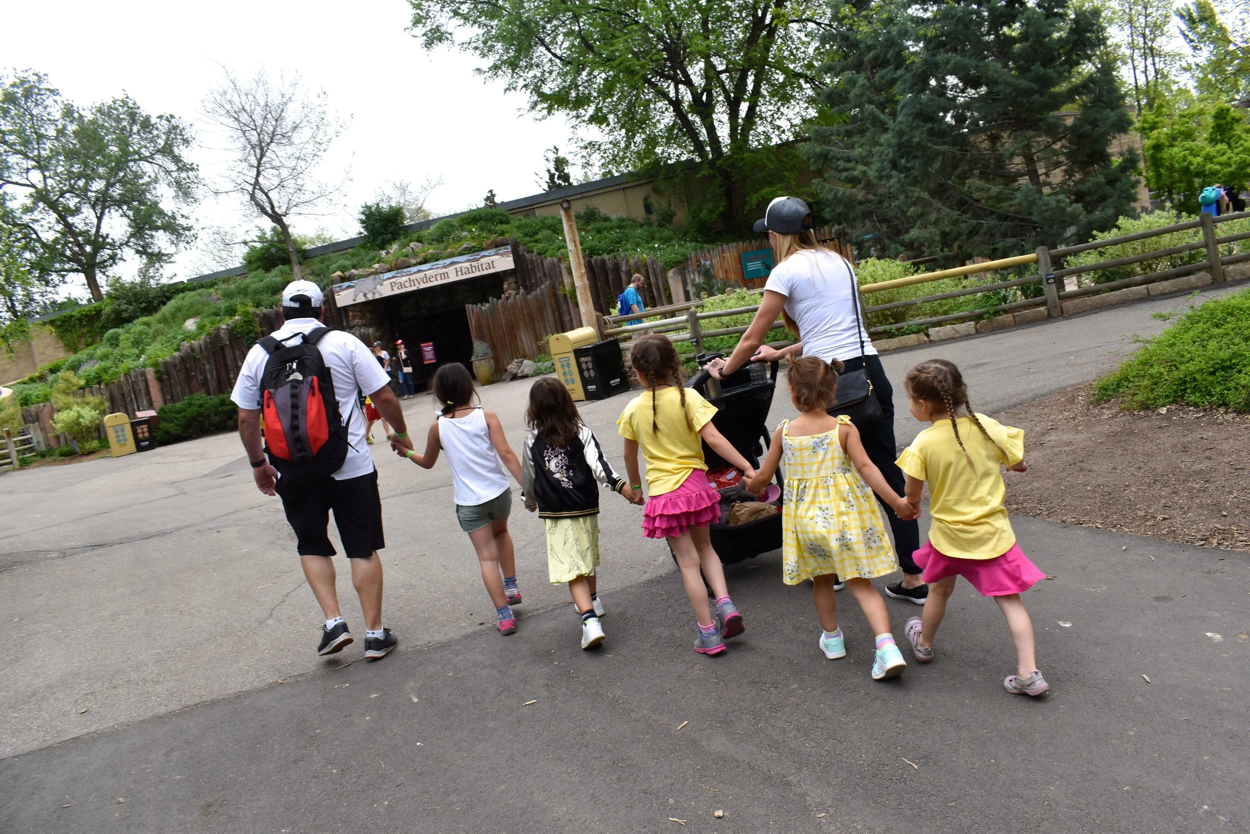Denver Zoo day 23.jpg