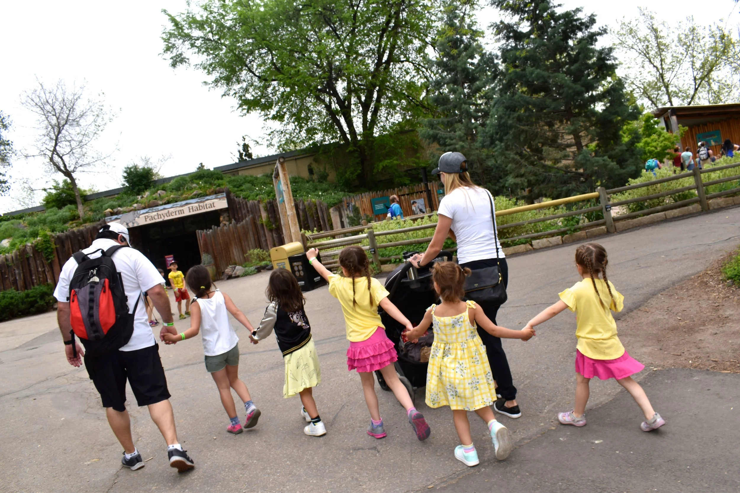 Denver Zoo day 24.jpg