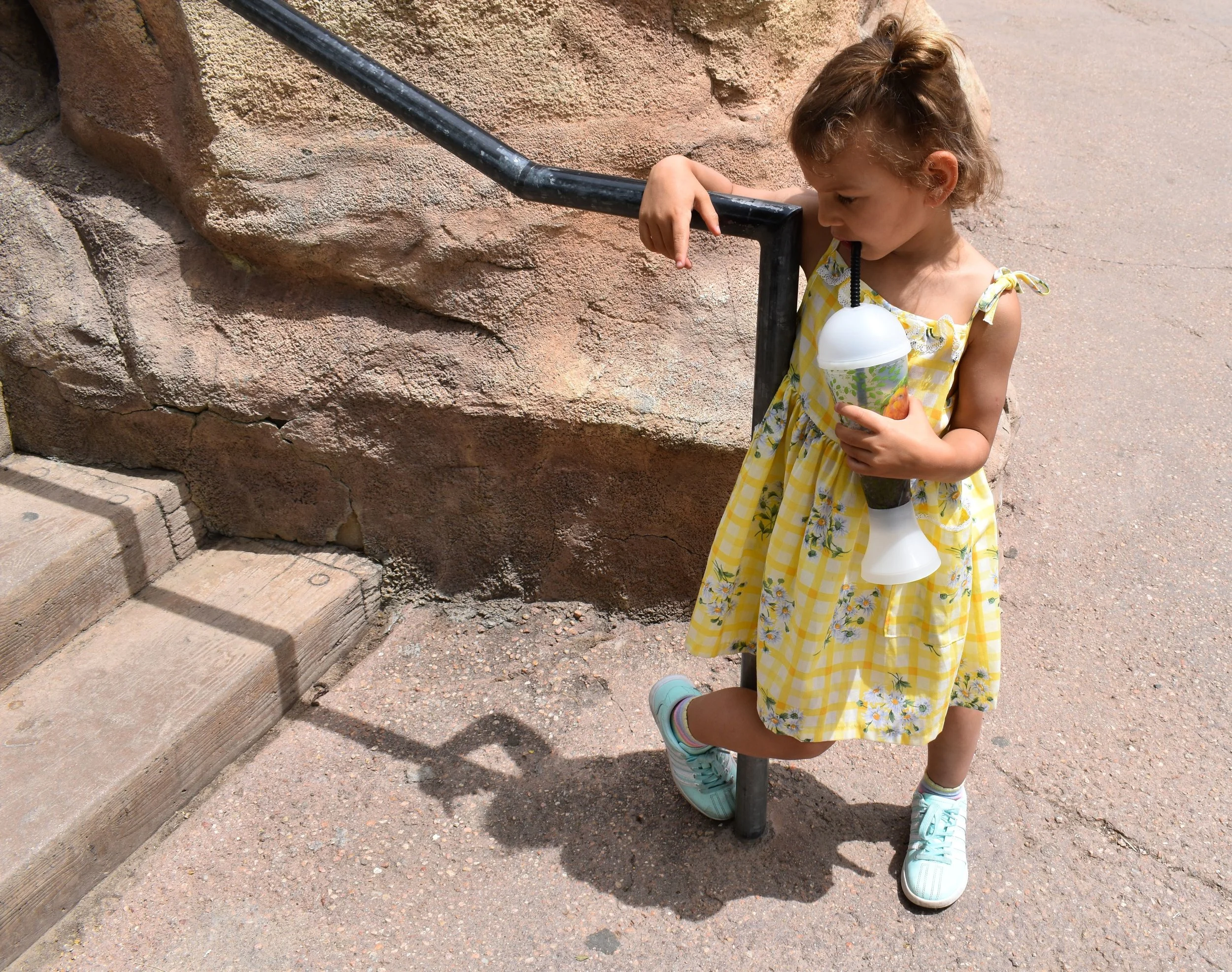 Denver Zoo day 37.jpg