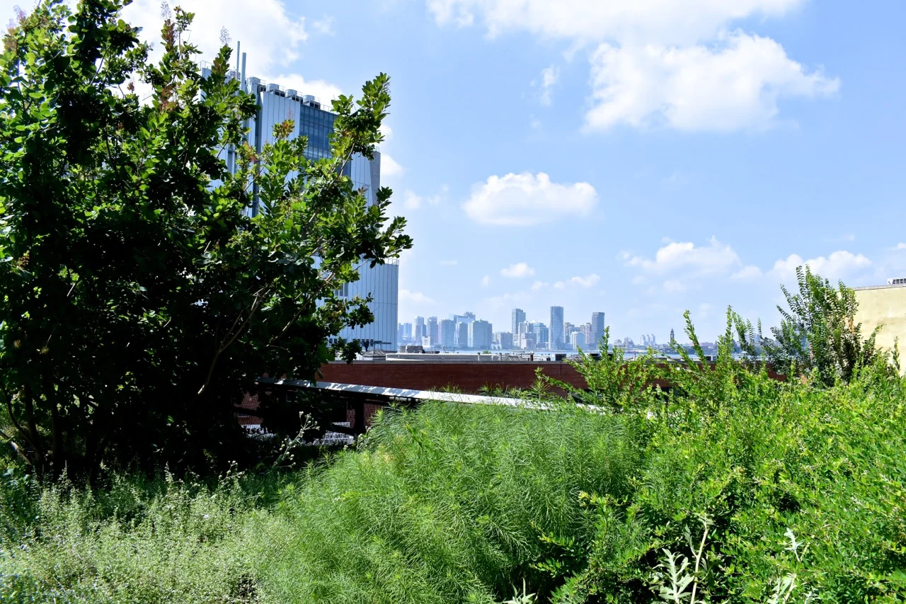 New York August 2019 Highline and Hudson Yards 21.jpg