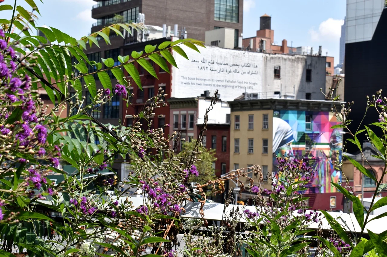 New York August 2019 Highline and Hudson Yards 26.jpg