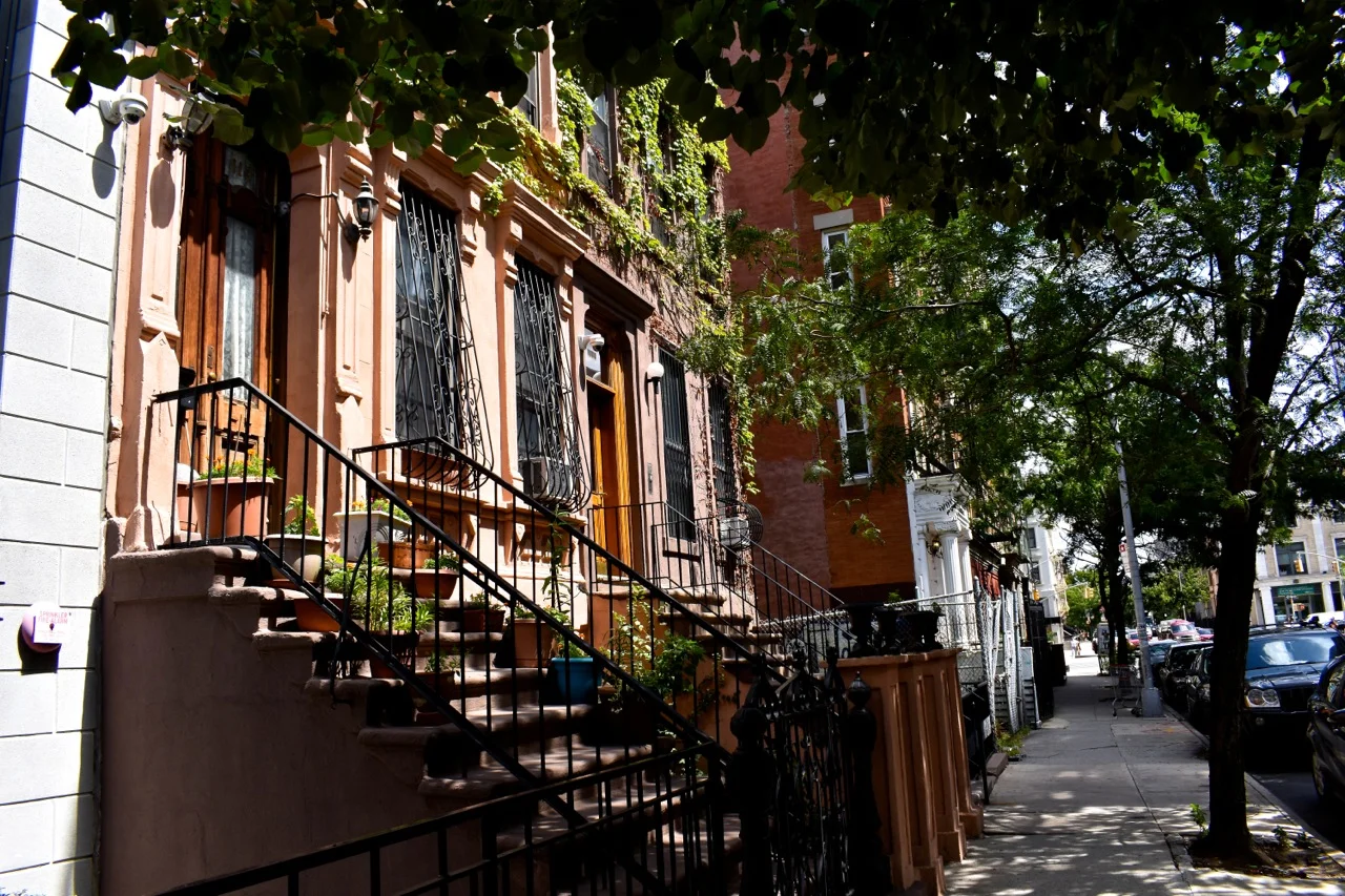New York City in August 2019 Harlem 12.jpg