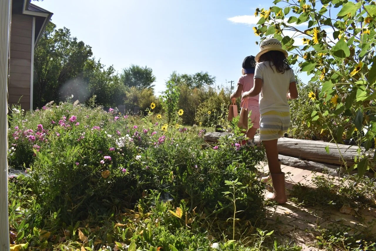 Nature Walk September 4.jpg