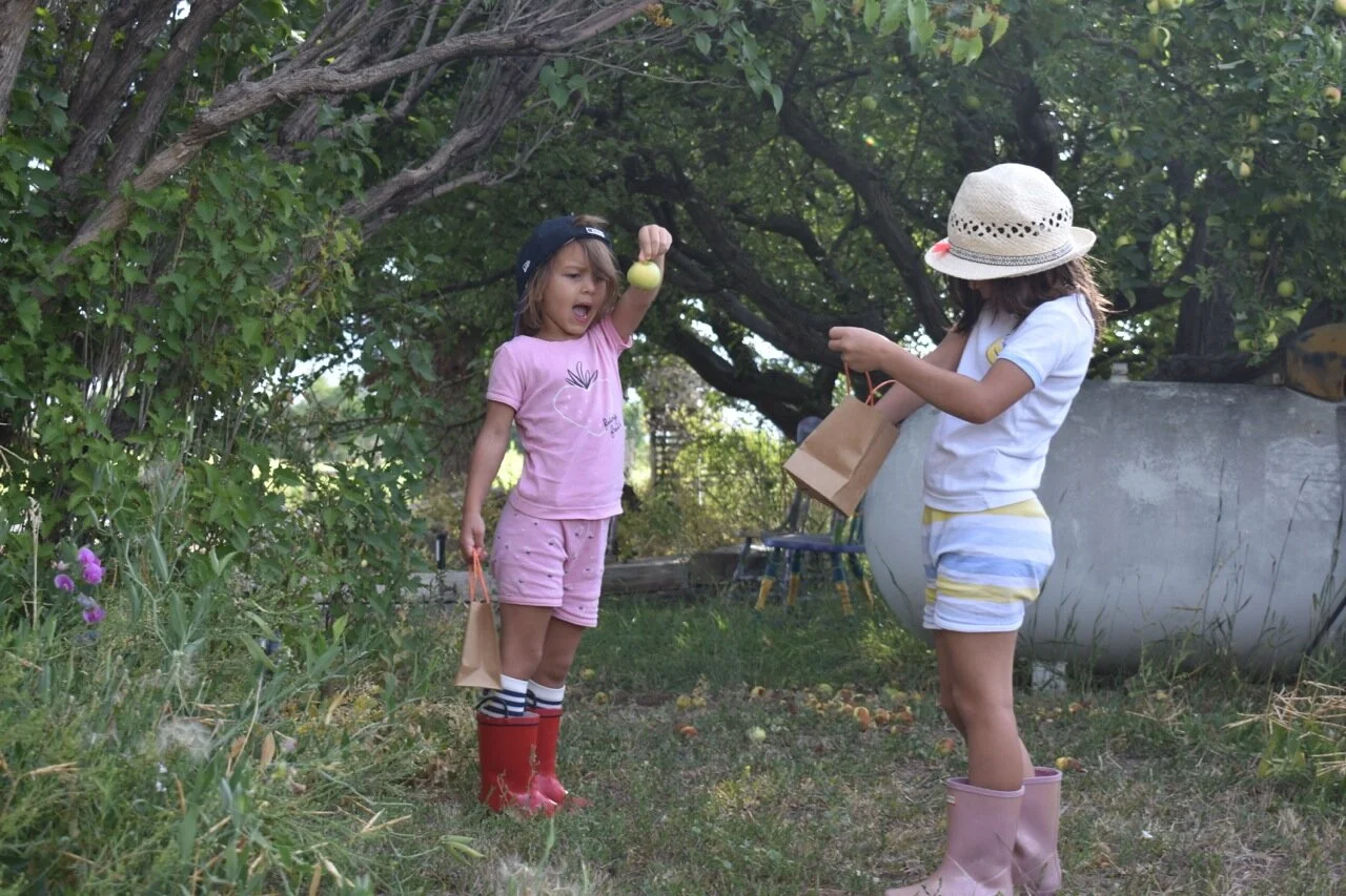 Nature Walk September 15.jpg