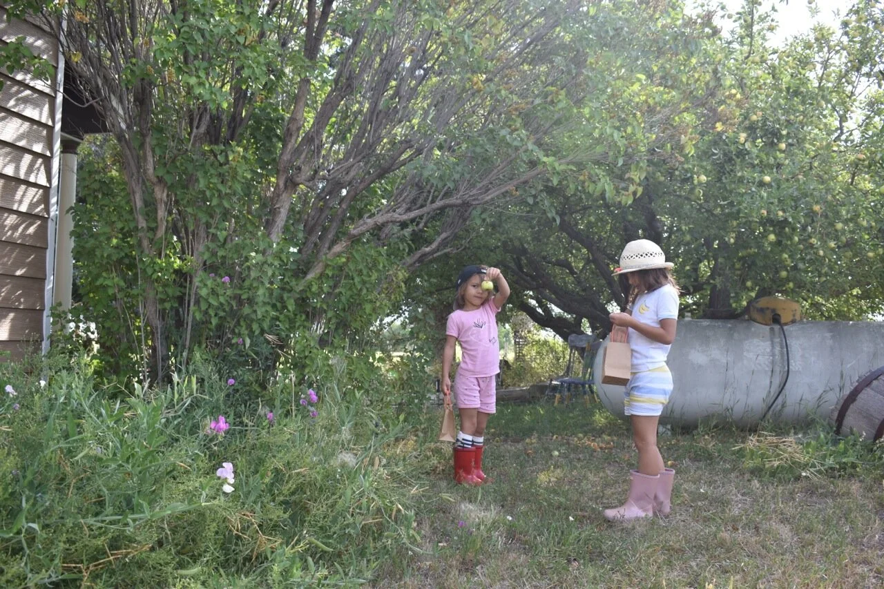 Nature Walk September 14.jpg
