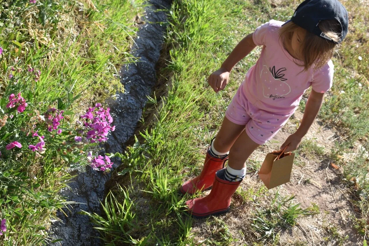 Nature Walk September 22.jpg
