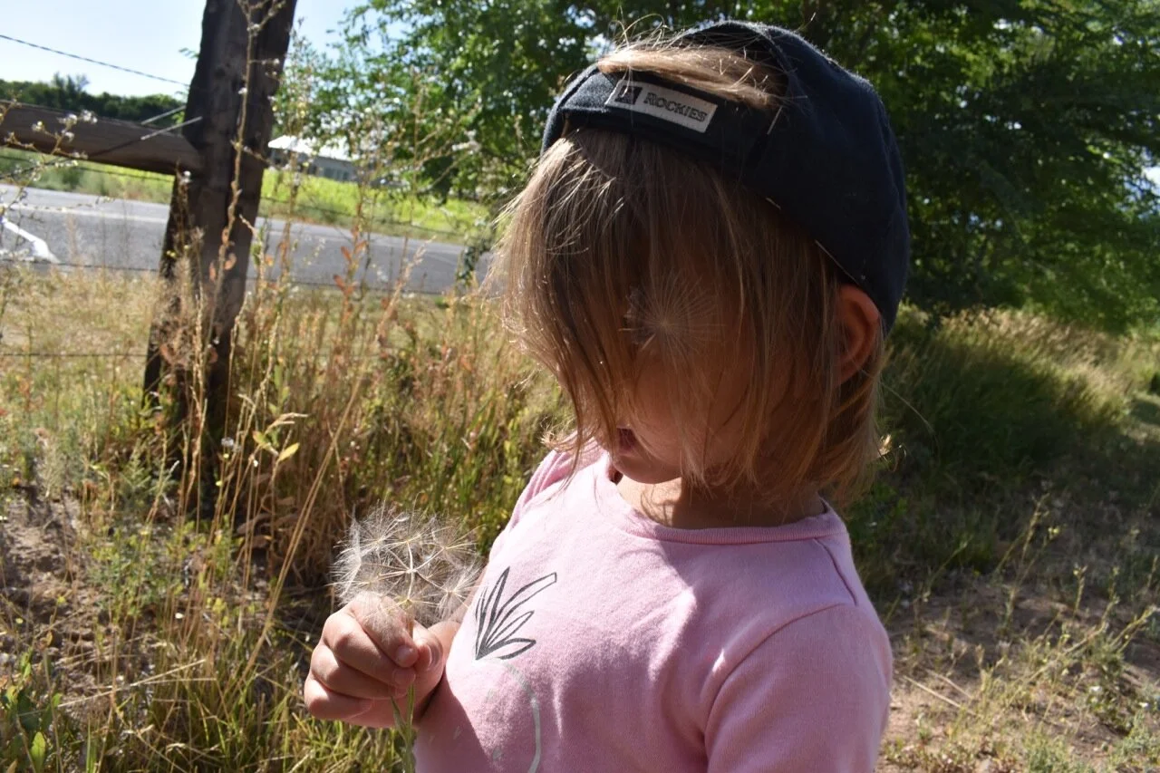 Nature Walk September 25.jpg