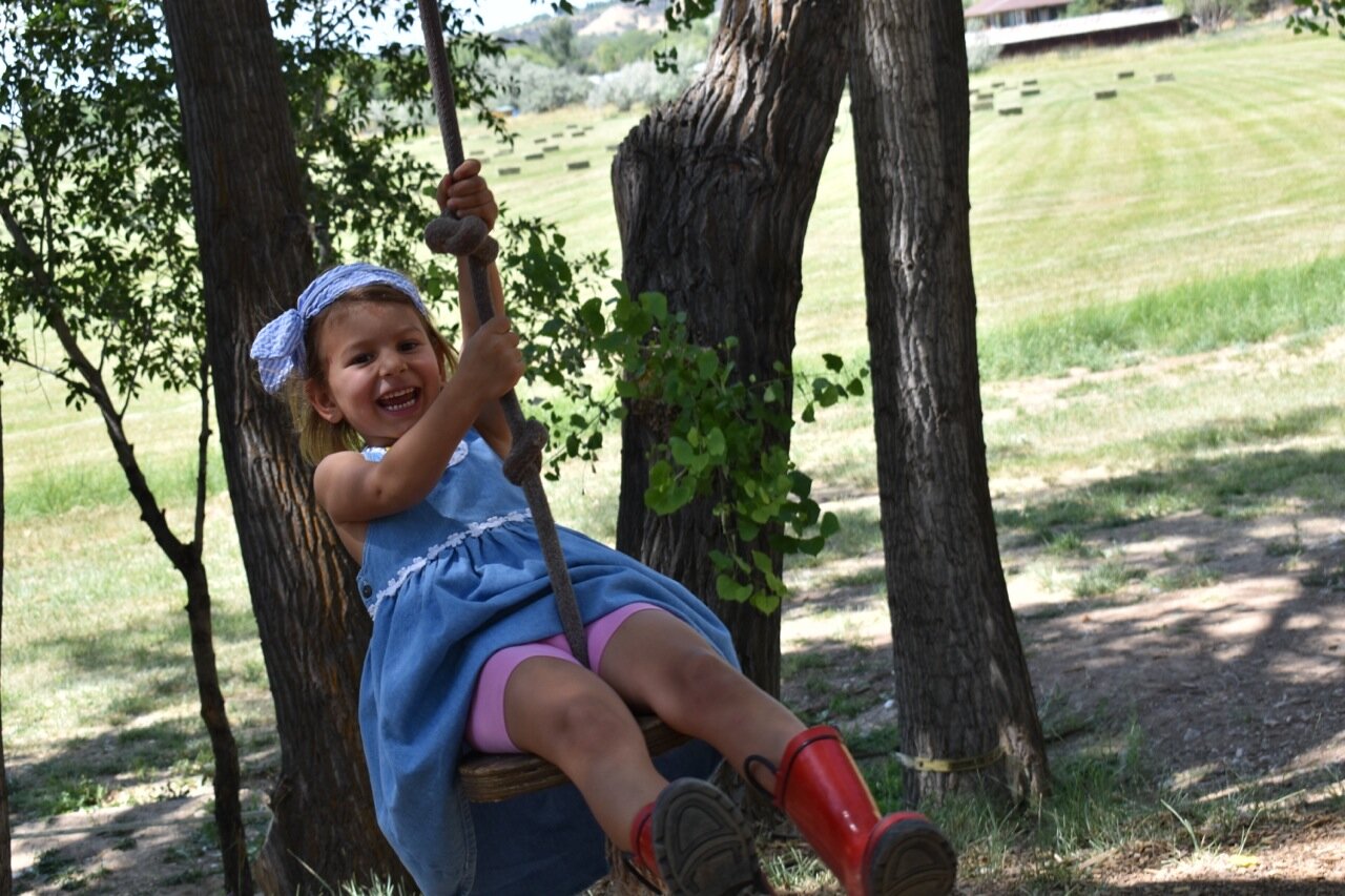 Big Bs Orchard September 2019 4.jpg