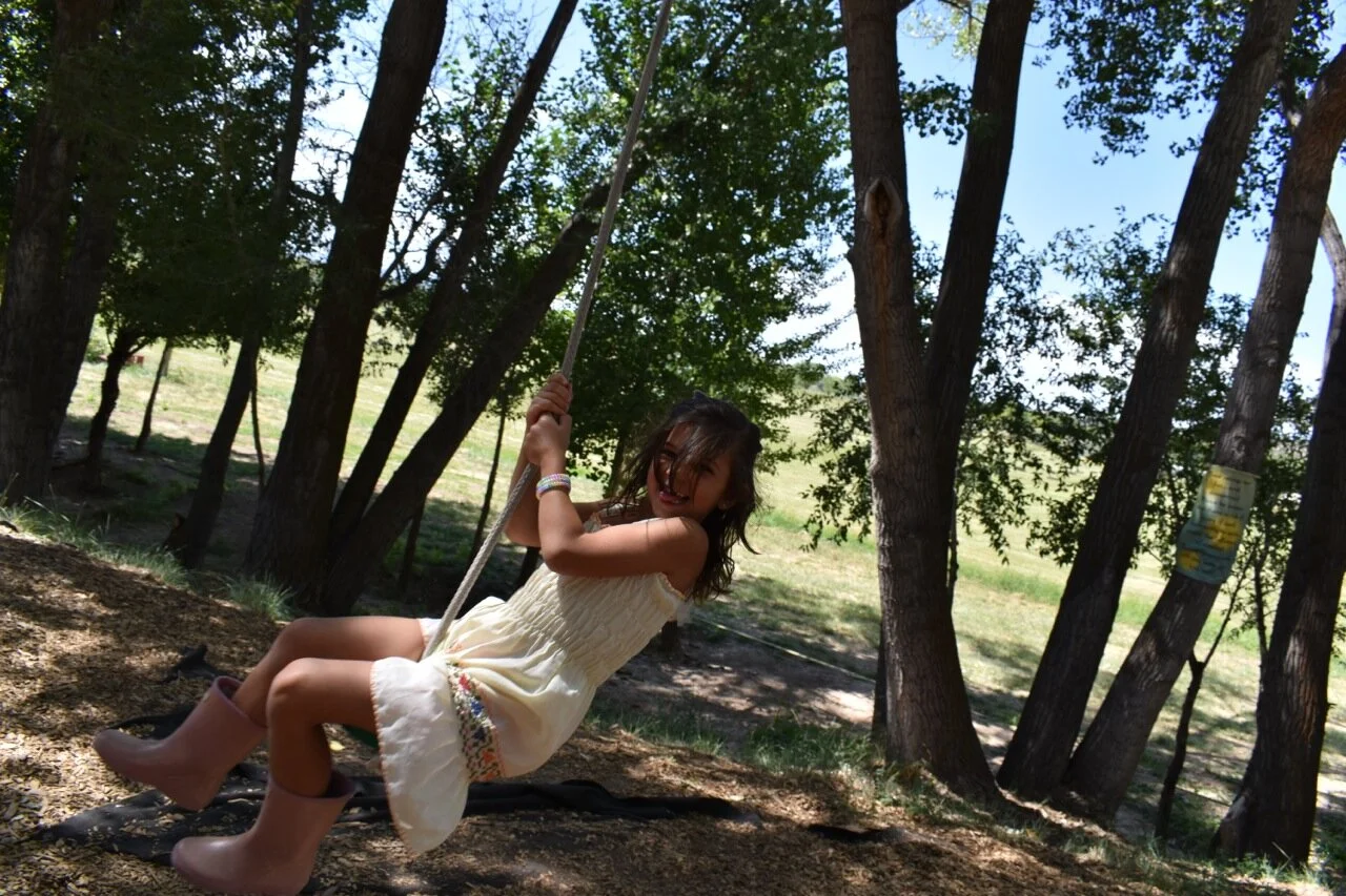 Big Bs Orchard September 2019 5.jpg