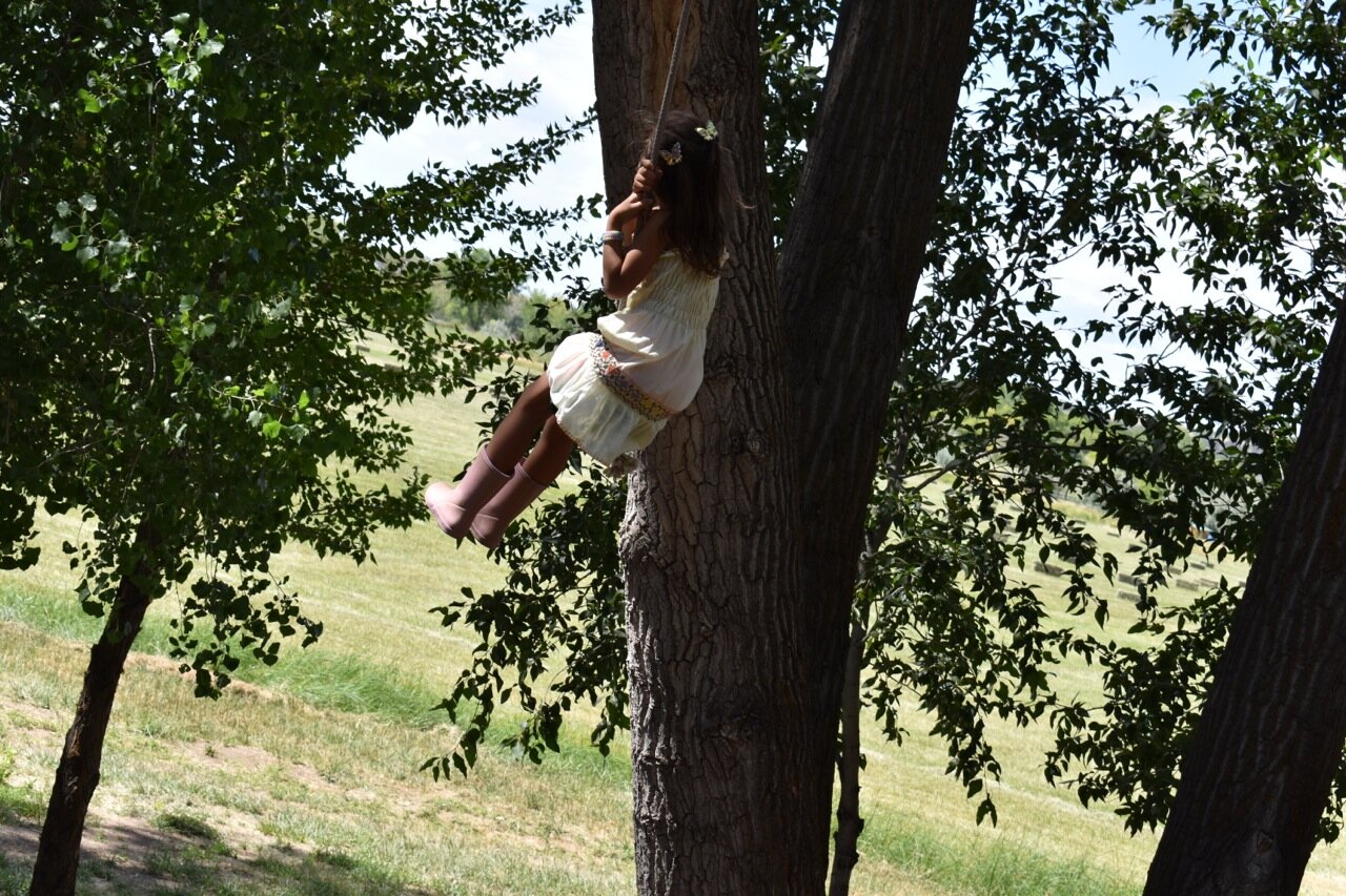 Big Bs Orchard September 2019 6.jpg