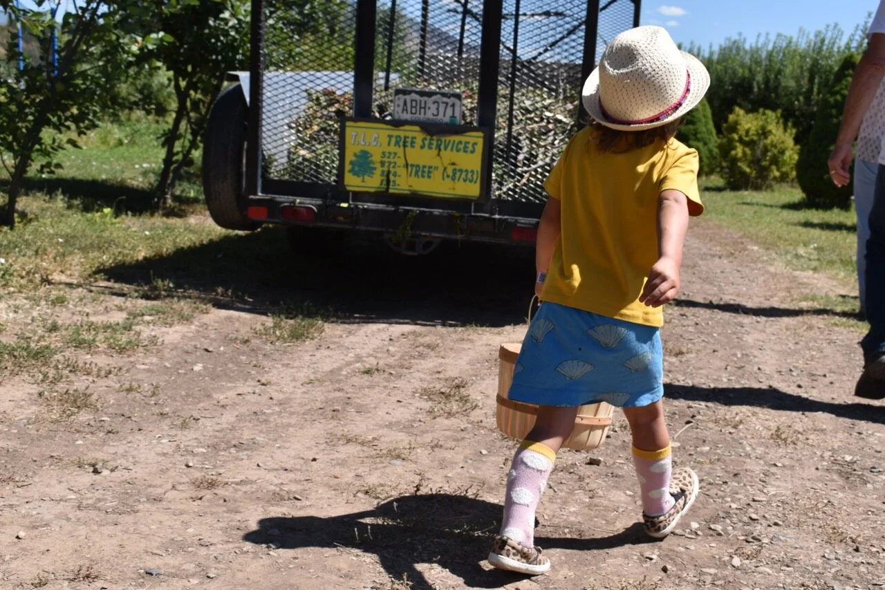 Big Bs Orchard September 2019 8.jpg