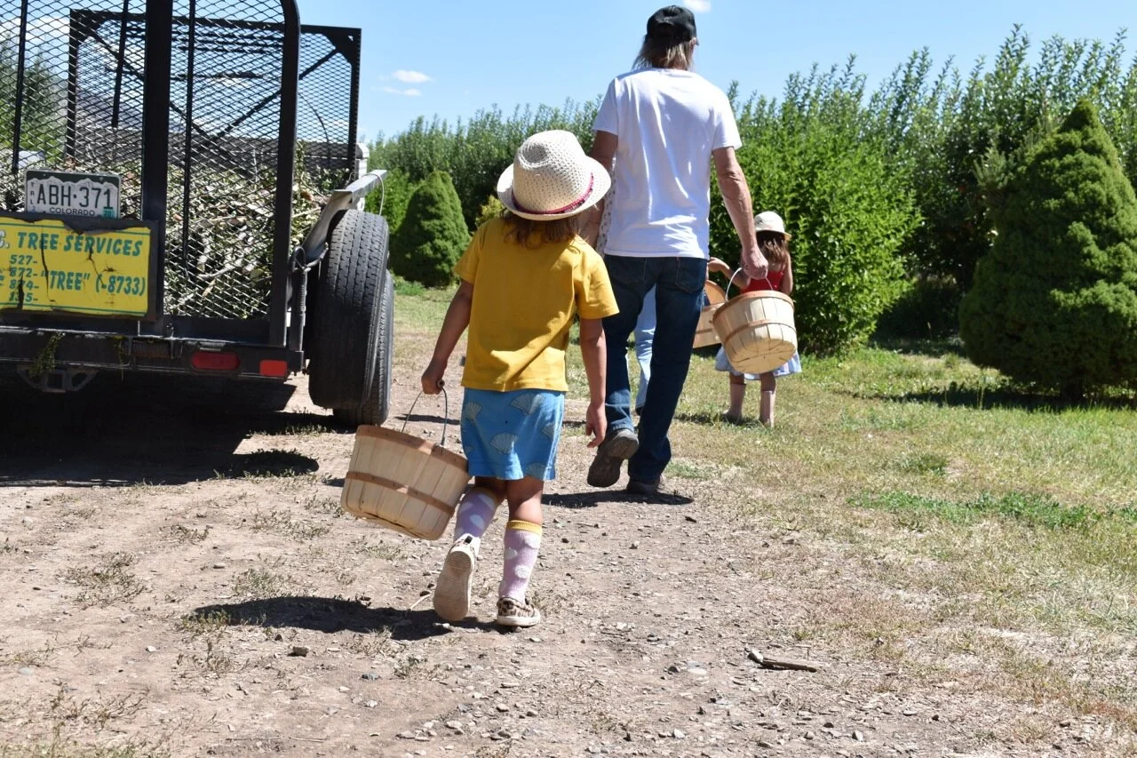 Big Bs Orchard September 2019 9.jpg