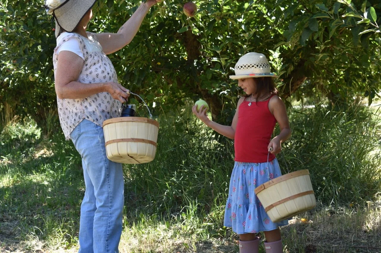 Big Bs Orchard September 2019 10.jpg