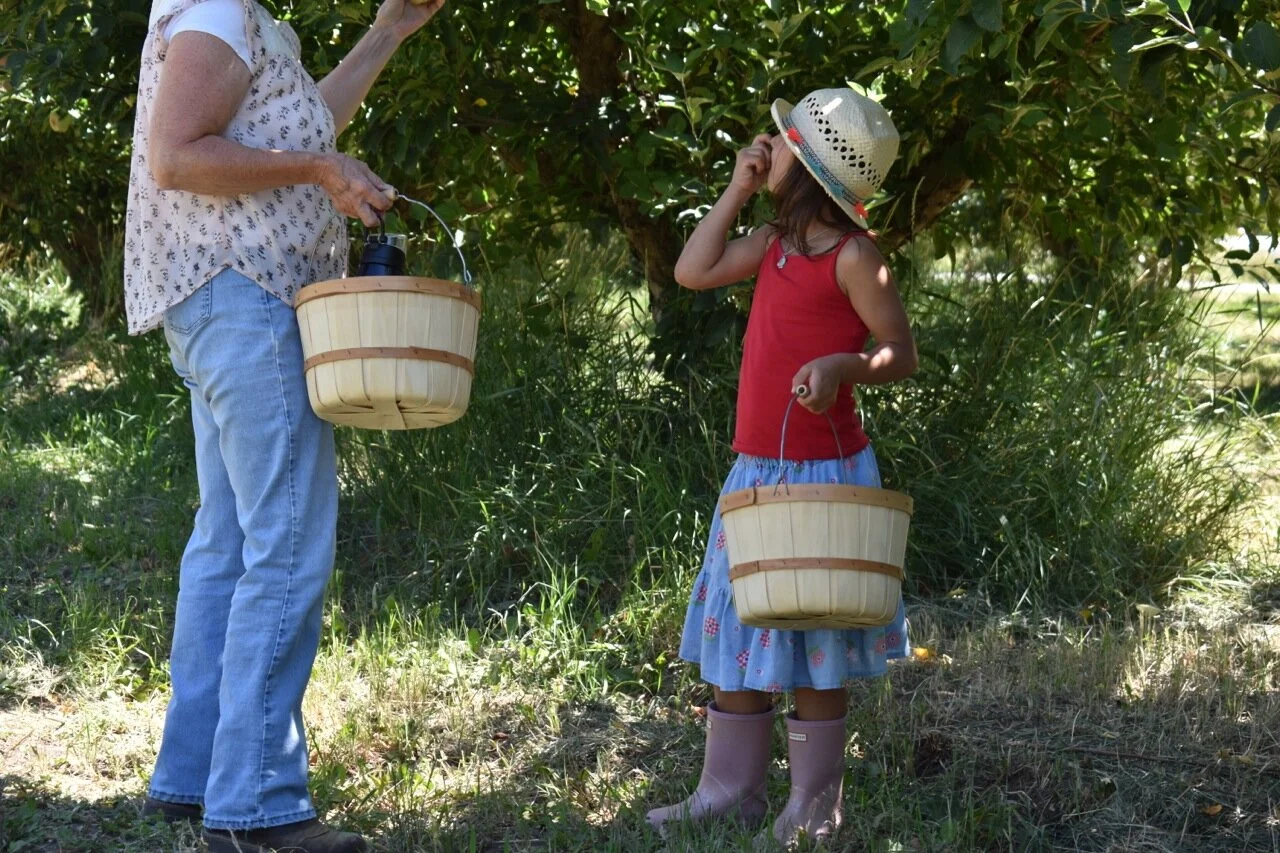 Big Bs Orchard September 2019 11.jpg