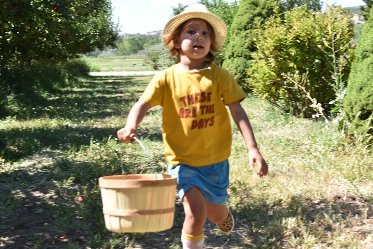 Big Bs Orchard September 2019 14.jpg