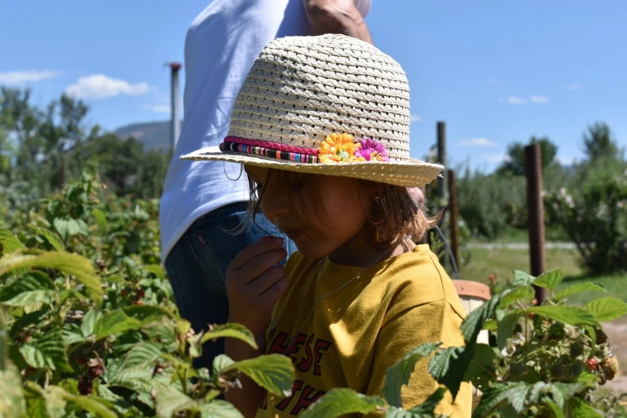 Big Bs Orchard September 2019 15.jpg