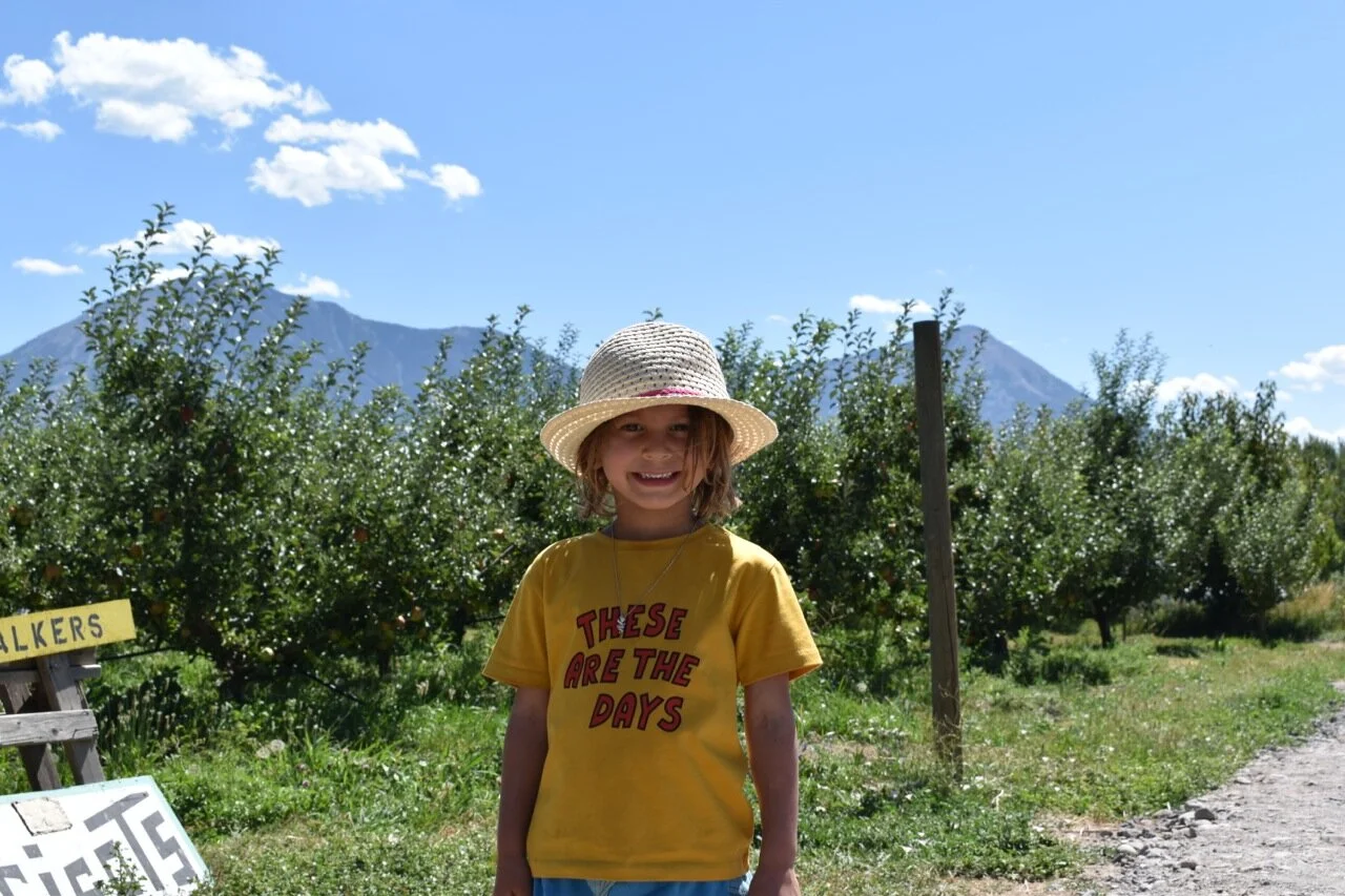 Big Bs Orchard September 2019 16.jpg