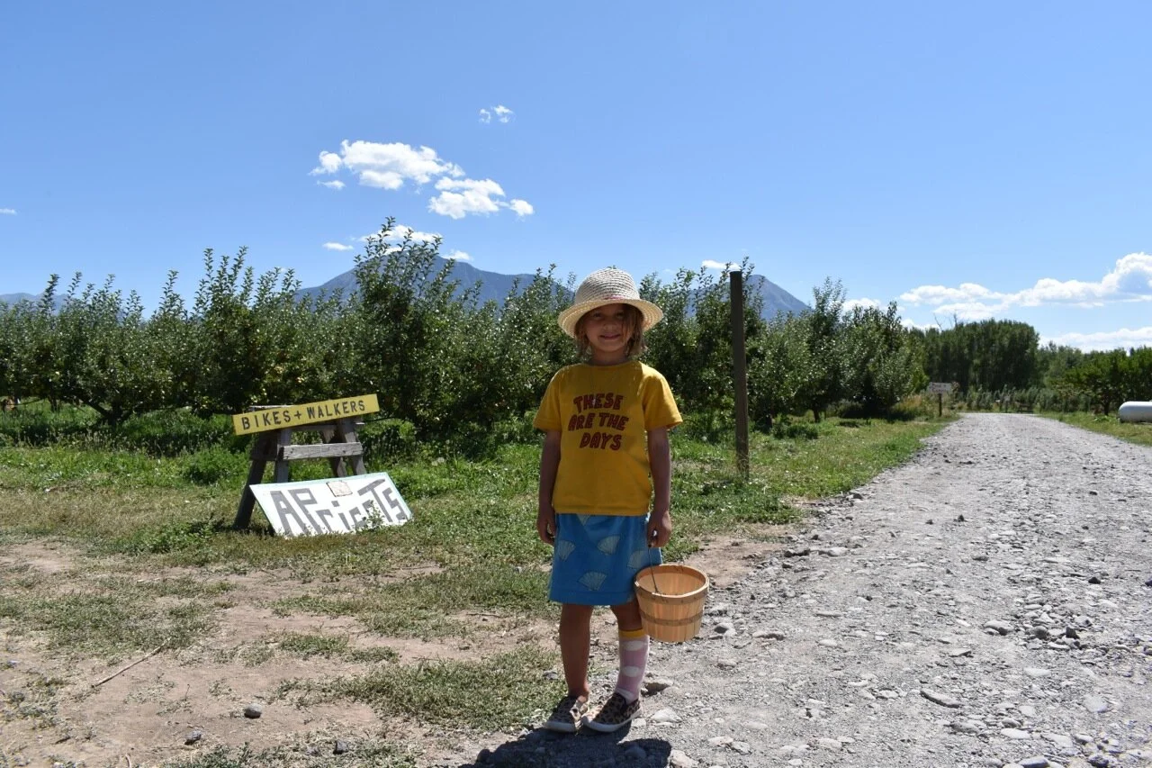 Big Bs Orchard September 2019 17.jpg