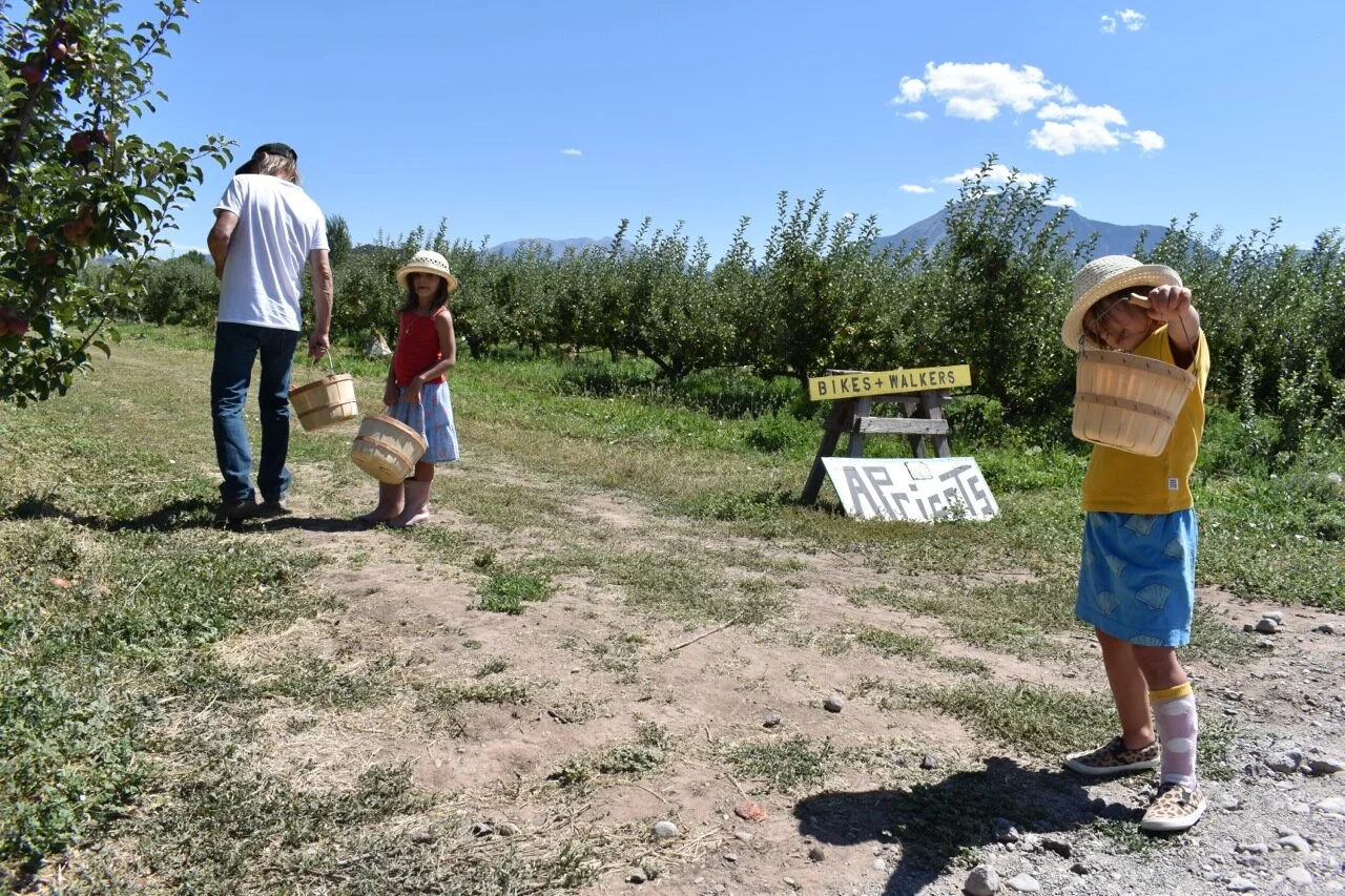 Big Bs Orchard September 2019 18.jpg